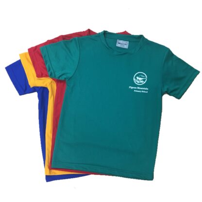 Pigeon Mountain PE Shirt